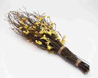 Reisigbündel gelb
BP; ca. 45cm Reisigbündel gelb
BP; ca. 45cm