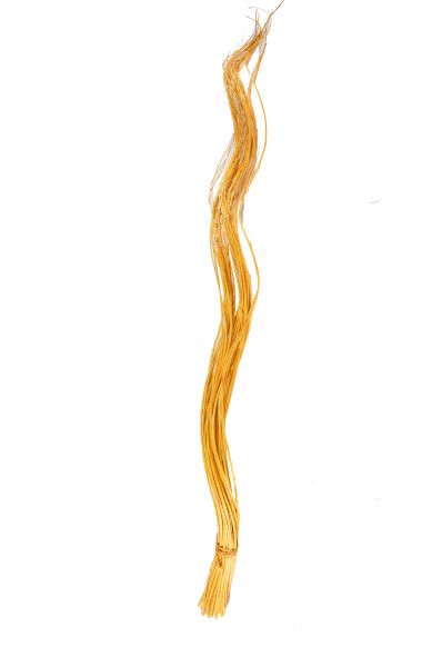 Weiden Curly goldgelb ca.80cm