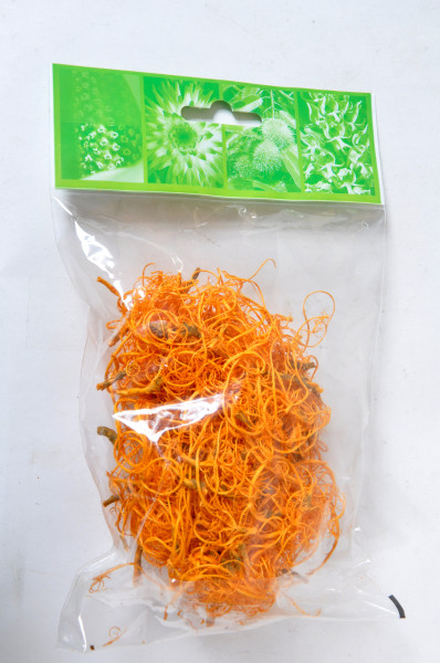 Curlymoos gelb/orange PBH ca. 20gr. "13641071400