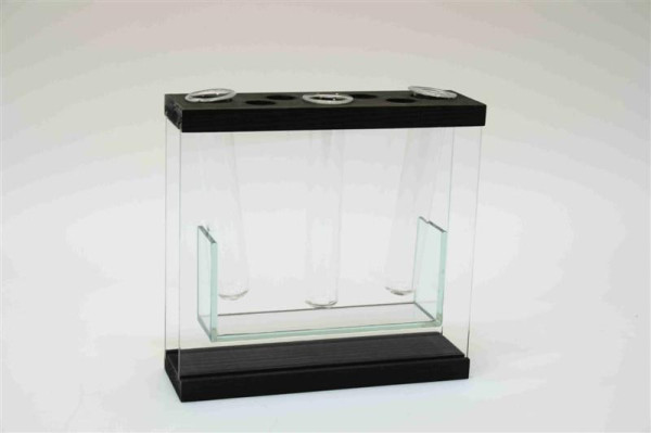 Vase 3er Reagenzglas FB; ca. 21x6,5x20cm