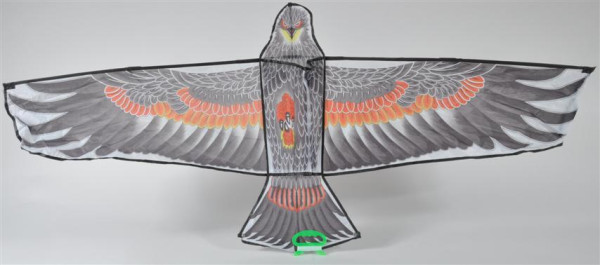 Drachen "Adler" m.Schnur farbl.sort. OPP, ca. 130x60 cm